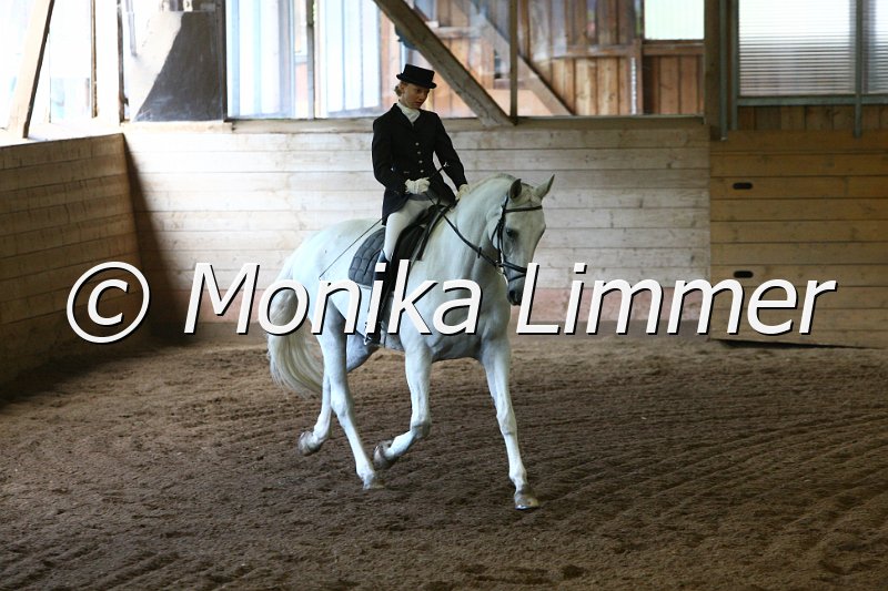 007L8968_Dressur L.JPG